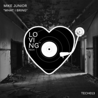 What I Bring (Original Mix) cover art