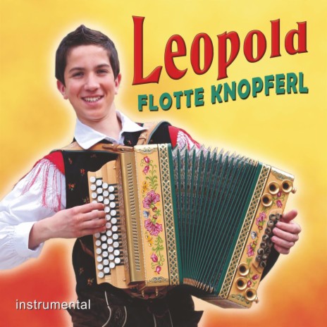 Für Harmonikafreunde cover art