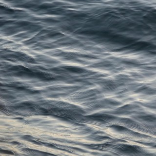 Brunswick cover art