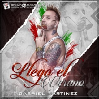 Llegó El Verano cover art