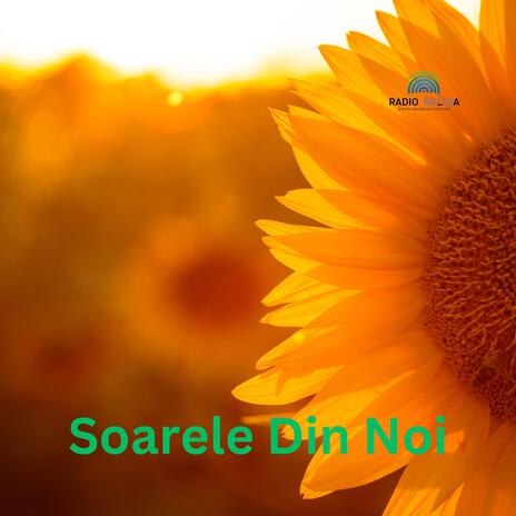 Soarele Din Noi cover art