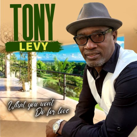 What You Won't Do For Love cover art