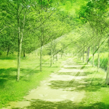 Love Of The Green cover art