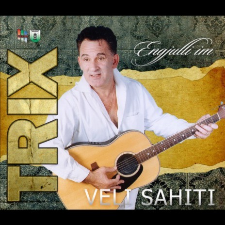 Pensionisti ft. Veli Sahiti cover art