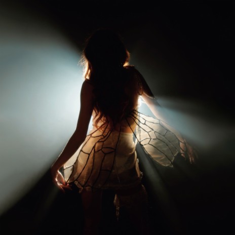 Fairy Wings cover art