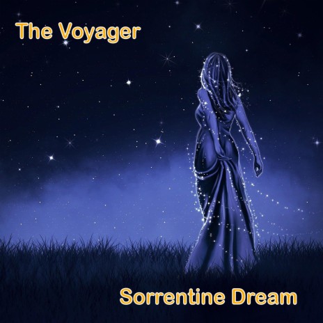 The Voyager
