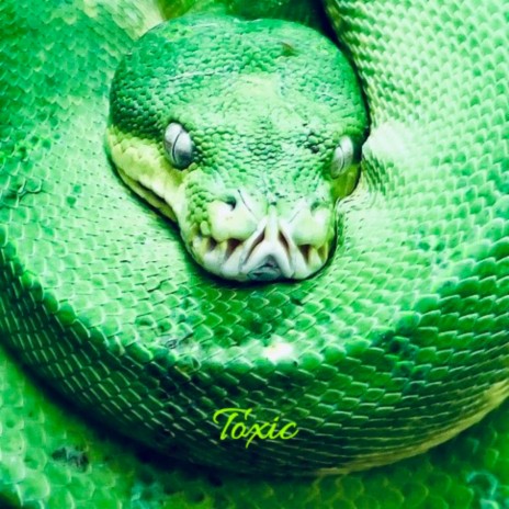 Toxic cover art