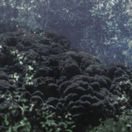 Spiders nest cover art