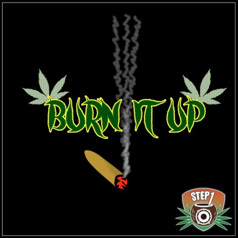 Burn It Up cover art