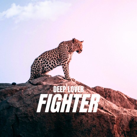 Fighter cover art