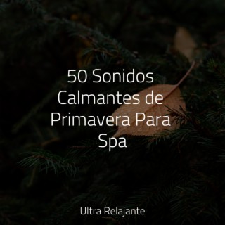 50 Sonidos Calmantes de Primavera Para Spa