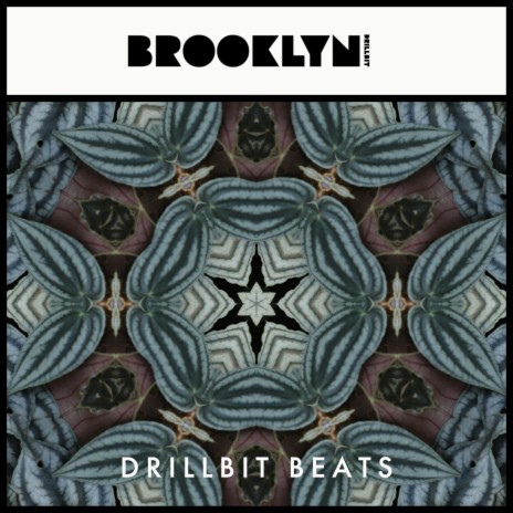Brooklyn cover art