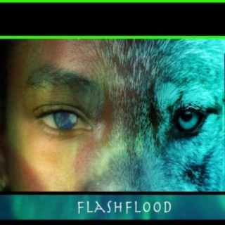 Flash Flood