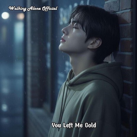 You Left Me Cold cover art