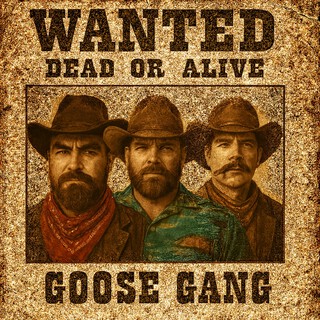 Gæsa Gang (Outlaw Country) cover art
