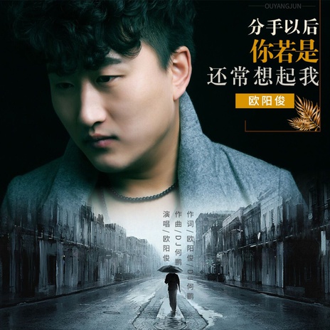 分手以后你若是还常想起我(DJ何鹏版) cover art