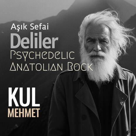 Deliler