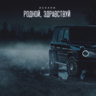 Родной, здравствуй cover art