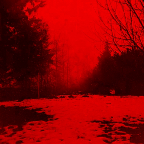 Bleed Red cover art