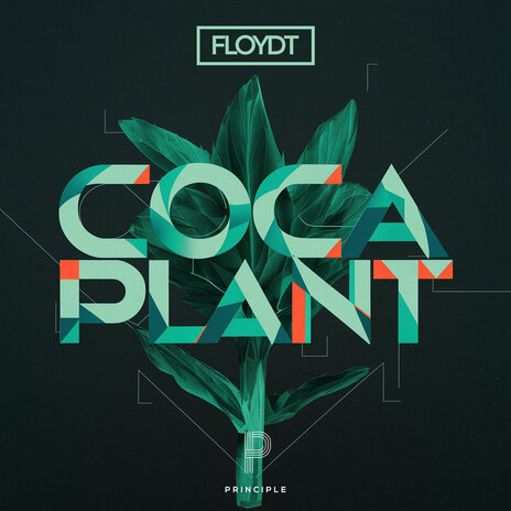 Coca Plant cover art