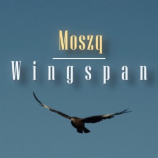 Wingspan cover art