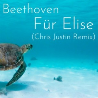 Beethoven Für Elise (Tropical House Remix) cover art