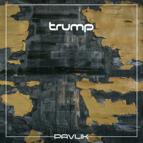 Trump cover art