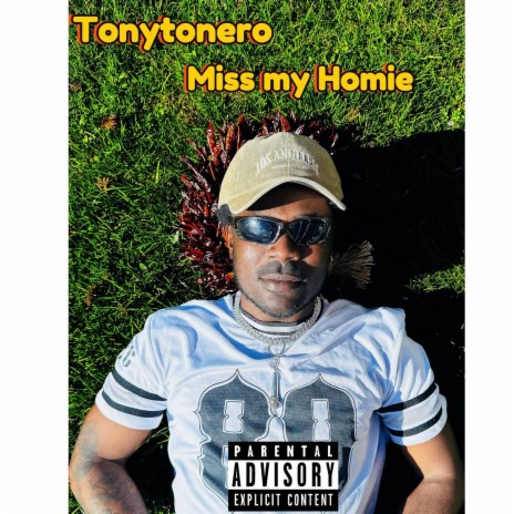 Miss my homie cover art
