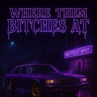 Wet cover art
