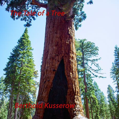 The Tale of a Tree cover art