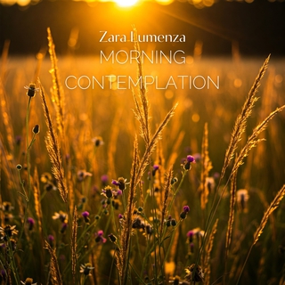 Morning Contemplation