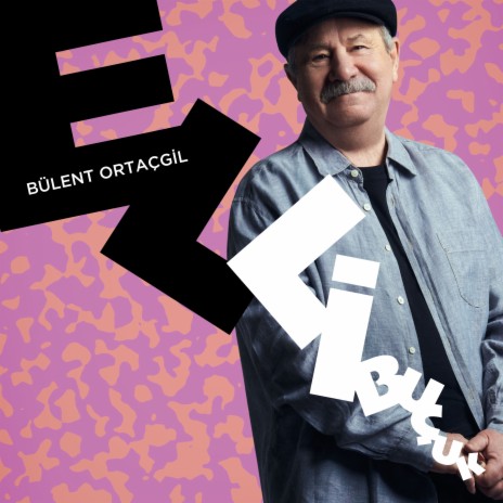 Çukurdaki İnsan cover art