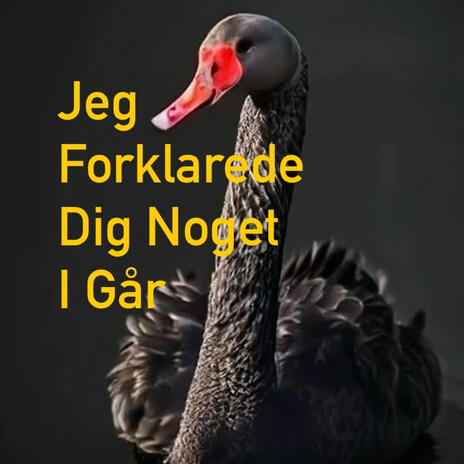 Jeg Forklarede Dig Noget I Går cover art