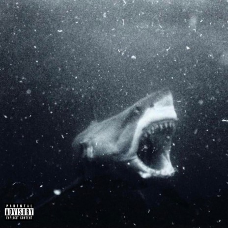On The Flo ft. Dom Corleo cover art