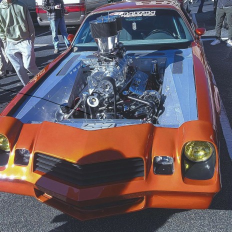Fat Car cover art