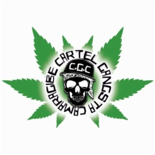 Cartel Gangsta Camaragibe