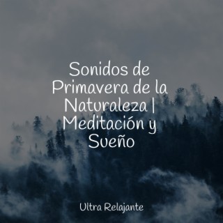 Sonidos de Primavera de la Naturaleza | Meditación y Sueño