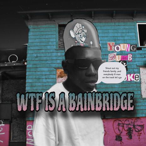 Wtf is a bainbridge cover art