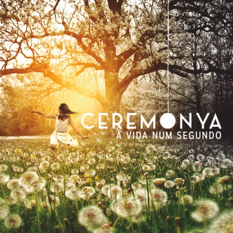 Alvo Certo cover art