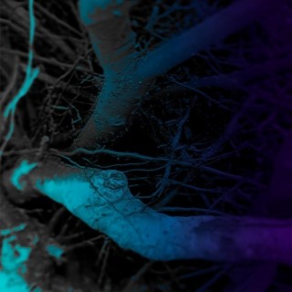 First line (parellel universe) (Pedro Apcho Remix) ft. Pedro Apcho cover art