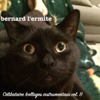 Bernard L'ermite