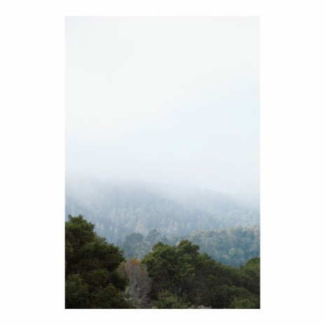 Purpose Redesigned cover art