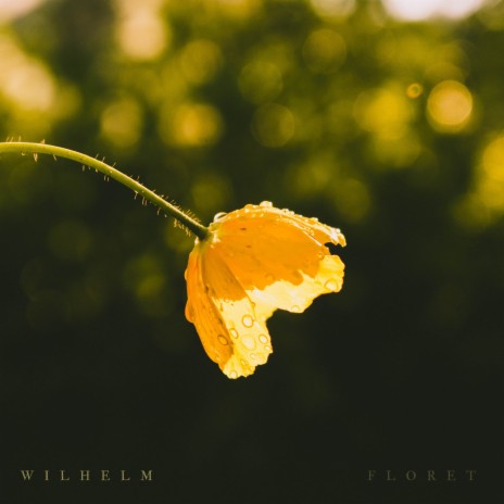 Painted cover art