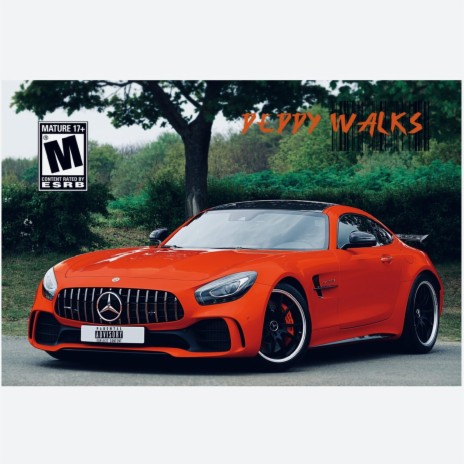 Timeless Phonk cover art