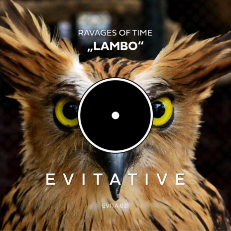 Lambo (Radio Edit)