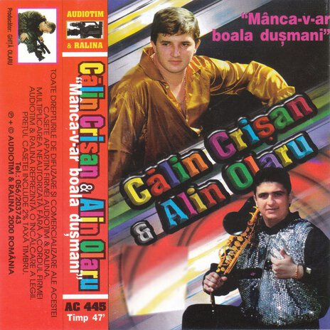 Tot asa-mi zic precinii ft. Alin Olaru cover art