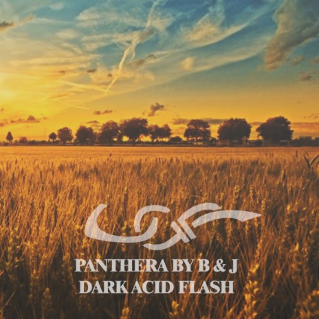 Dark Acid Flash (Original Mix) cover art