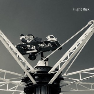Flight Risk cover art