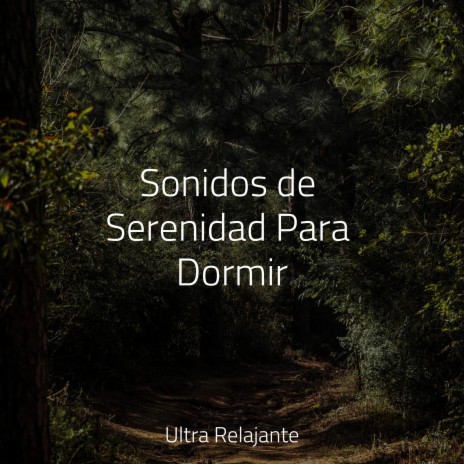 Soñando Tranquilo