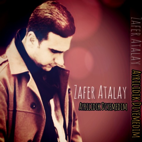 Ayrıldık Diyemedim cover art